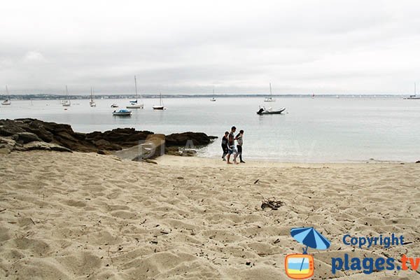 Vue sur Concarneau depuis la crique de Lantecoste - Fouesnant