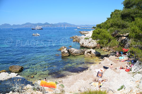 Laoute cove on Sainte Marguerite island (Lérins) - Cannes