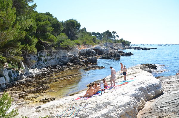 Small cove in Lerins island - Laoute (Ile de Sainte Marguerite)