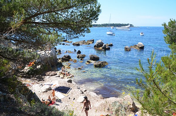 Photo de la crique de Laoute sur les iles de Lérins (Marguerite)