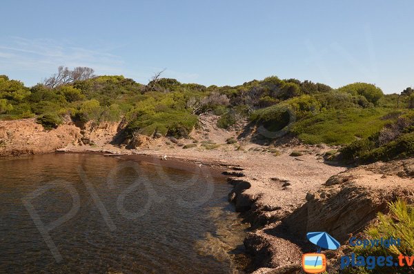 Crique della punta del Lequin a Porquerolles - Francia