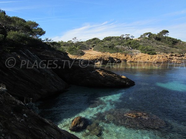 Crique au nord de l'île de Porquerolles