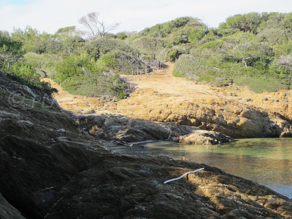 Cove protected in Porquerolles
