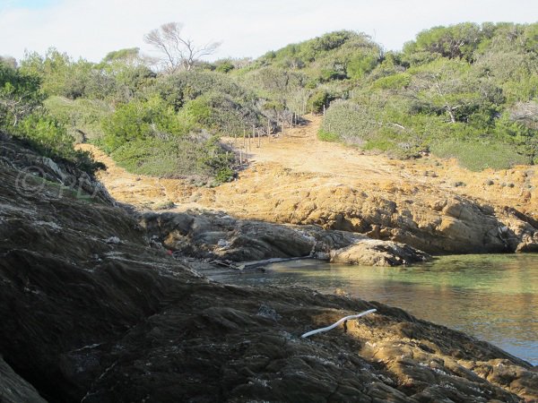 Crique protégée du mistral à Porquerolles