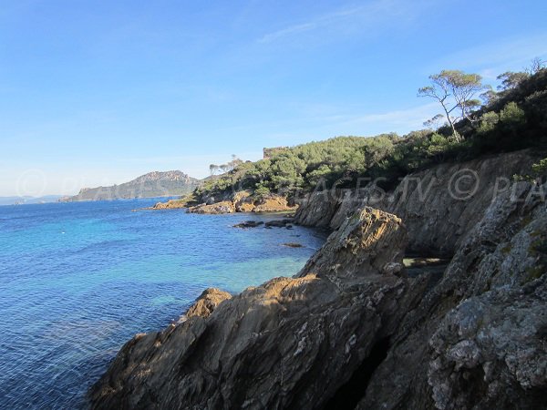 Plage du Lequin à Porquerolles