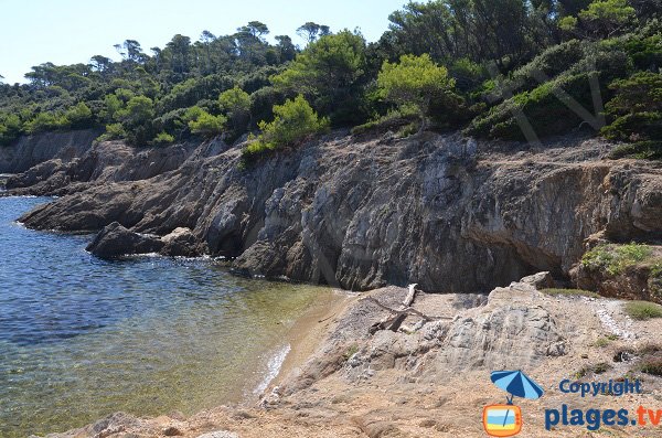 Photo de la crique du Lequin à Porquerolles