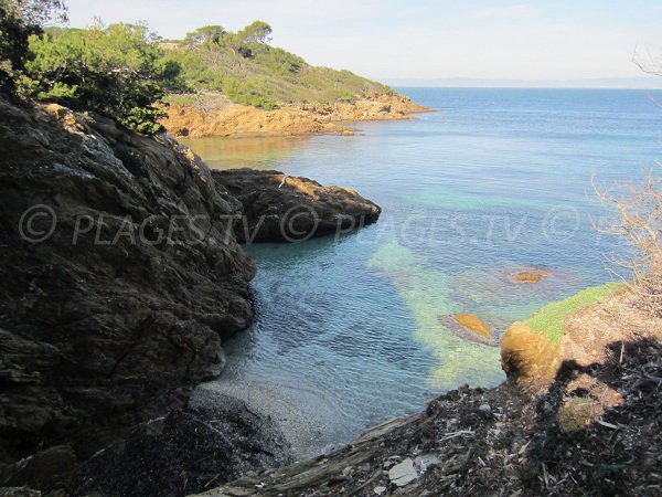 Lequin cove in Porquerolles in France