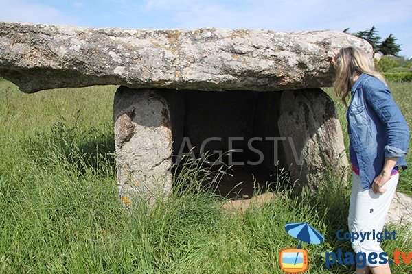 Dolmens autour de Mazou