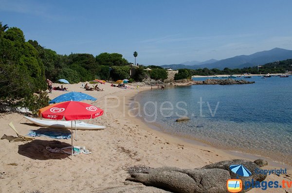 Foto della cala di Medea in corsica - Isolella