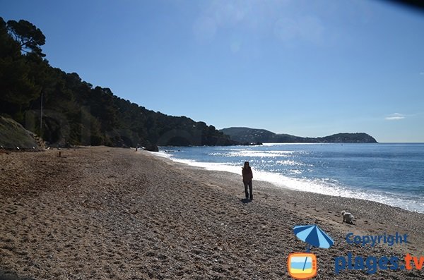 Photo de la plage naturiste du Pradet