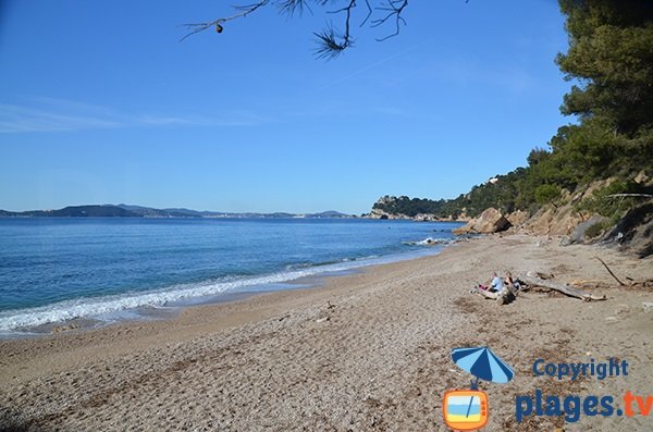 Photo of Monaco cove in Le Pradet - France