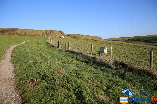 Chemin d'accès à la crique des Ningles - Le Portel