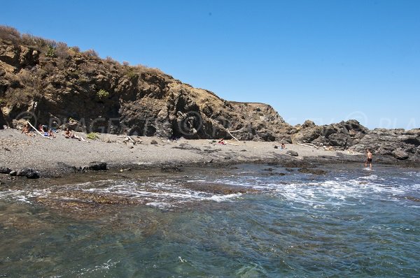 Crique de Peyrefite vue depuis la mer - Cerbère