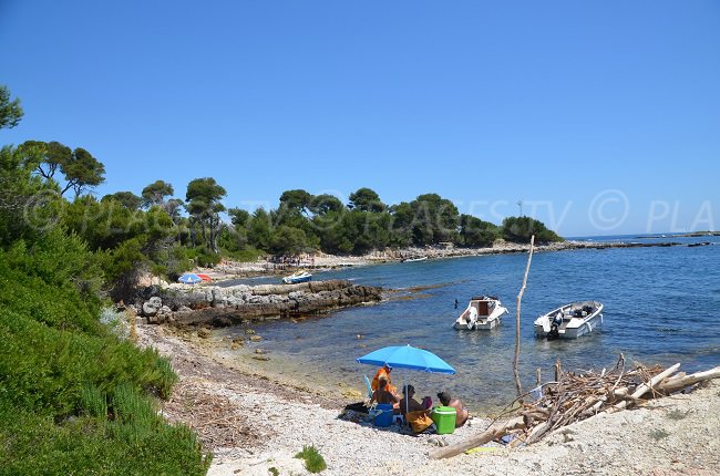 Crique sur la pointe Carbonel sur l'île Sainte Marguerite