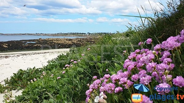 Vue sur l'embouchure de l'aber Ildut depuis la plage de Lampaul-Plouarzel