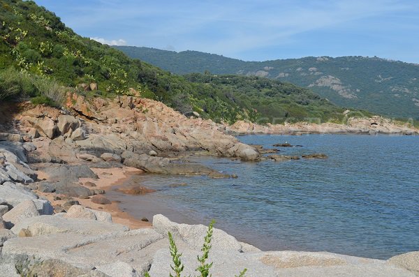 Crique du Port de Cargèse