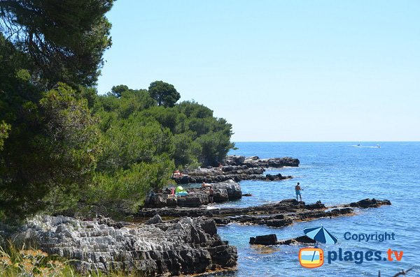 Rochers autour de l'allée du Portet - Ste Marguerite Ile de Lérins