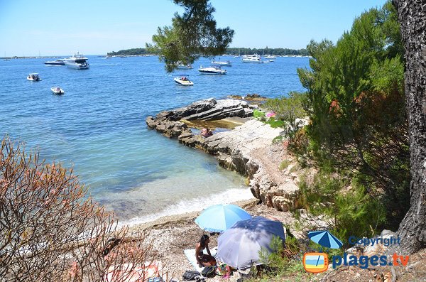 Natural pool - Portet cove - Lerins island