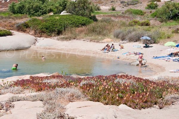 Secret Cove near Calvi - Punta di Spanu