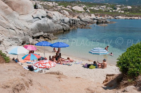 Small creek of Pointe di Spanu in Corsica