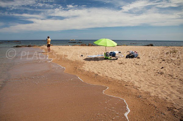 Crique sauvage à Saint Cyprien - Lecci