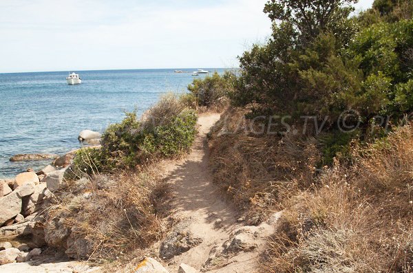 Sentier de la crique de St Cyprien