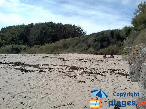 Saisies cove at low tide - Ile de Groix