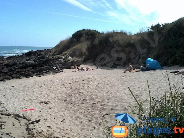 Falaises autour de la crique des Saisies - groix