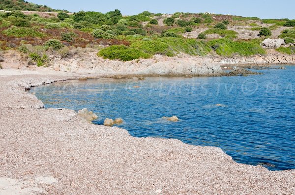 Crique de Saleccia en Corse proche de l'Ille Rousse