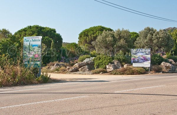 Parco di Saleccia in Corsica (Ile Rousse - Monticello)