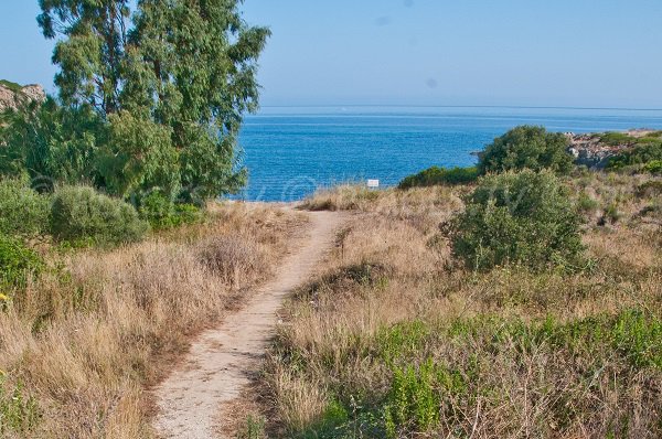 Chemin d'accès à la crique de Saleccia en Corse