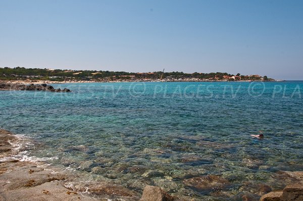 Marine bottoms of the coves of Sant Ambroggio