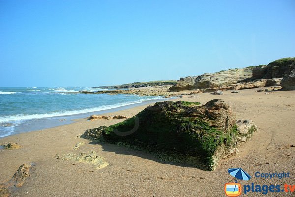 Criques de la Sauzaie à Brétignolles sur Mer