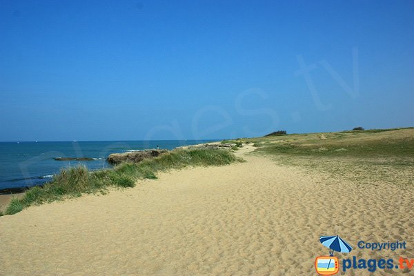 Access to Sauzaie cove - Brétignolles-sur-Mer 