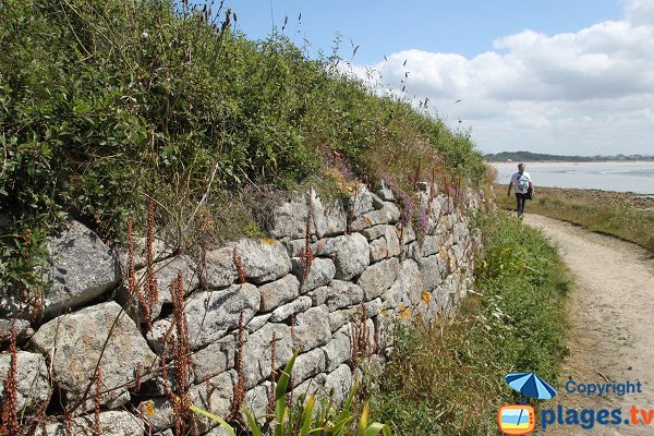 Walls of Sieck Island