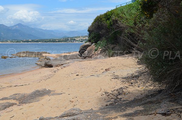 Sofitel creek in Porticcio in Corsica