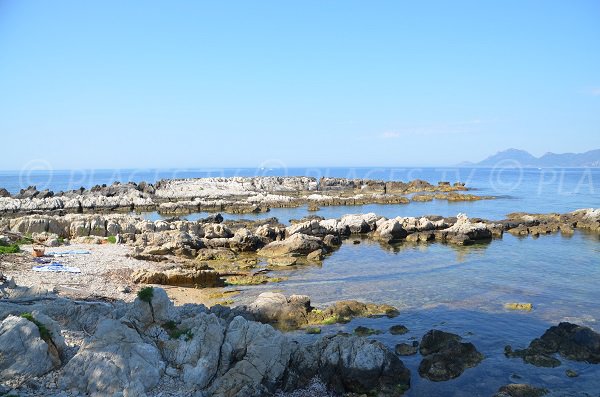 Plage à l'ouest de l'île de St Honorat