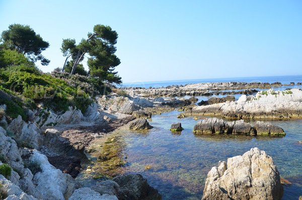 Crique St Caprais sur l'île de St Honorat