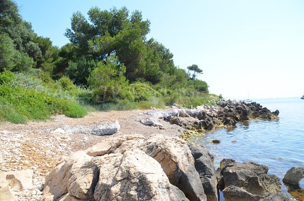 Photo de la crique de St Féréol sur l'ile de Saint Honorat