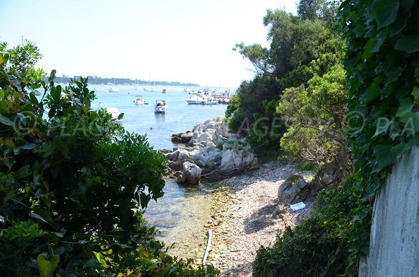 Photo of St Michel cove - island of Saint Honorat