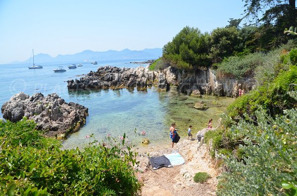 Cove of St Pierre - Saint Honorat island - Ile de Lérins