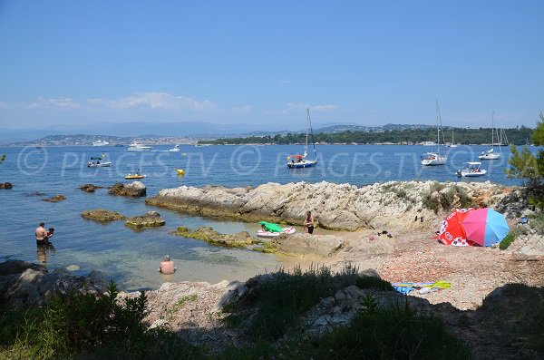 Photo de la crique de Saint Sauveur sur l'île de Saint-Honorat - Cannes