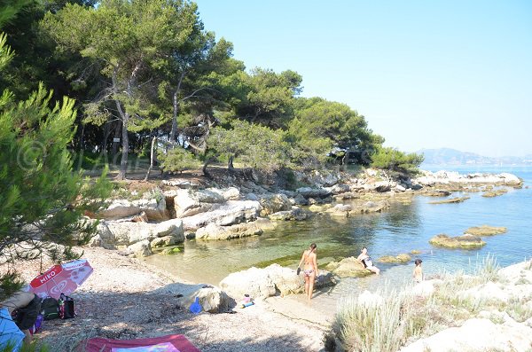 Plage à côté de la chapelle de St Sauveur sur l'île de Saint Honorat