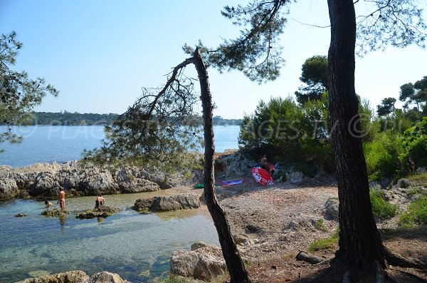 Plage proche du débarcadère de l'île de St Honorat