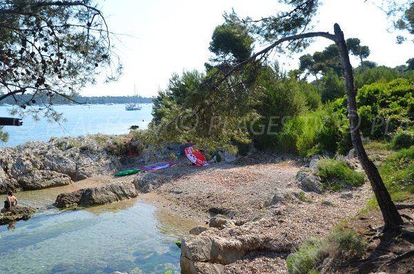 Small cove in Saint Honorat island