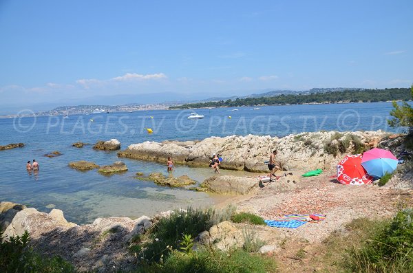 Crique de St Sauveur sur l'île de St Honorat - Iles de Lérins