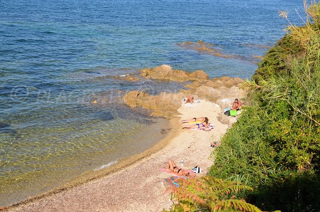 Crique à St Tropez