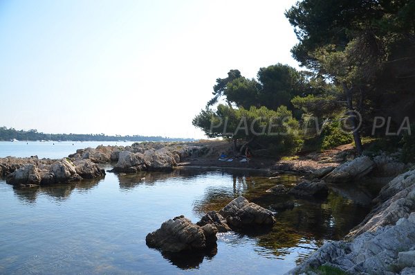 Crique sur l'île de Saint Honorat à proximité du restaurant