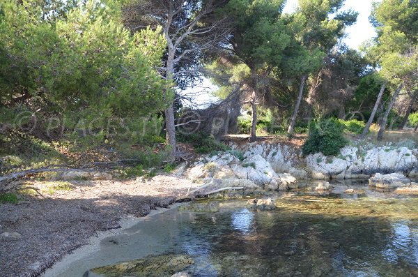 Plage de La Tonnelle sur l'île de St Honorat