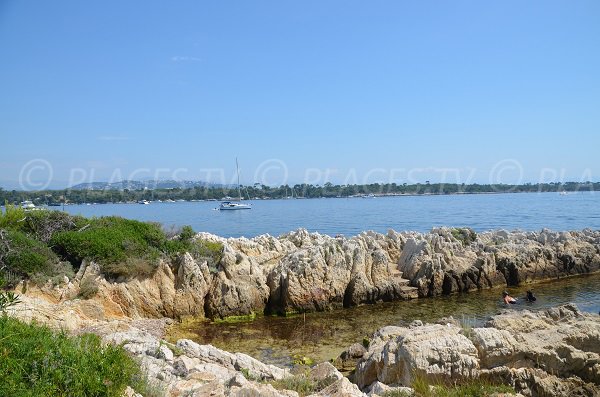 Cove near St Féréol point - St Honorat island